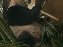 -成都雅诗阁来福士