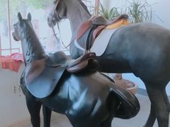 -月河湾马术俱乐部(朝阳店)