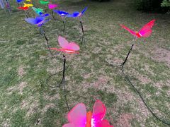 -长春公园(普阳街道)