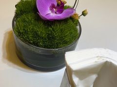 -眉州东坡(博雅店)