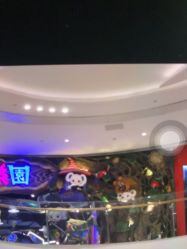 -卡通尼乐园(宝山龙湖天街店)