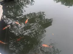 -杭州西湖柳莺里酒店