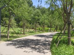 -东郊湿地公园