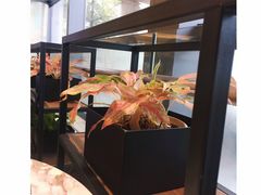 -混果汁(喜荟城店)