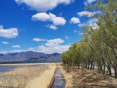 -野鸭湖国家湿地公园