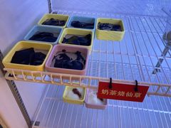 -一味一诚•鲜嫩烤鱼(昌发展万科广场店)