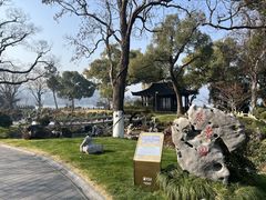 -杭州西湖柳莺里酒店
