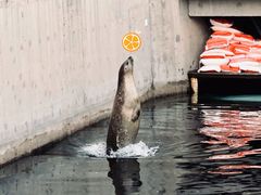 -太原动物园