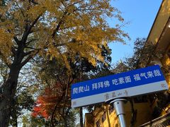 -灵岩山风景区