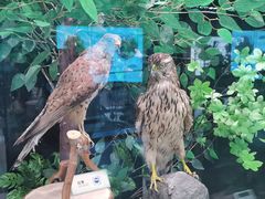 -天津市规划展览馆