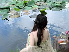 -明翠湖品·湖景餐厅