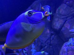 -成都浩海立方海洋公园