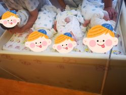 -海豚湾高端月子会所(黄浦店)