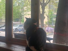 -猫爷的腔调·黔小馆(交大医学住宅区店)