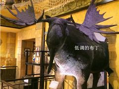 -信不信由你博物馆