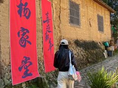 -杨家堂村