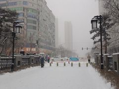 -迎泽公园