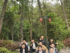 -铁山坪森林公园