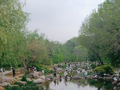 -郑州植物园