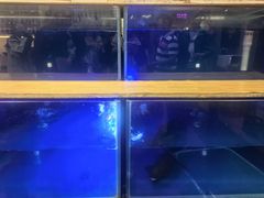 -粘豆包铁锅炖二部(温泉街店)