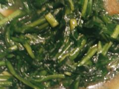 -紫阳富豪大酒店(惠南店)