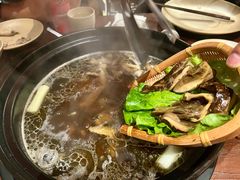 -滇野云南野生菌餐厅(陕西南路店)