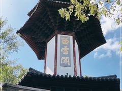 -上海佘山国家森林公园天马山园