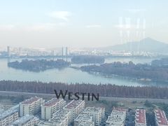 -湖景知味西餐厅•自助餐• 轻食(南京金茂威斯汀大酒店)