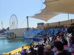 -秦皇岛乐岛海洋王国