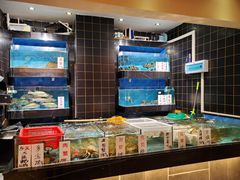 水产区-宝园酒家(美林M·LIVE天地东座店)