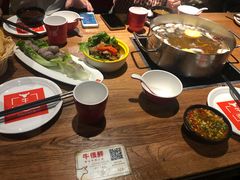 -牛很鲜潮汕牛肉火锅(朝晖路店)