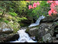 -燕子河大峡谷天坑仙境