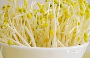 Bean Sprout Stir-fried with Sazi