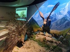 -陕西自然博物馆