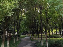 -沙市市中山公园