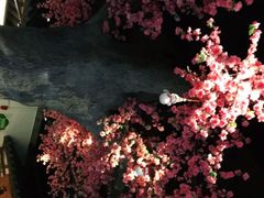 -粥满堂养生餐厅(学苑路店)