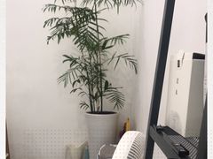 -浆木咖啡馆(湘子庙街店)
