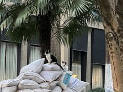 -东信·和创园