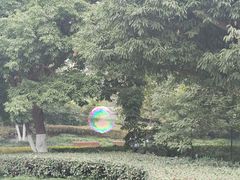 -塔子山公园