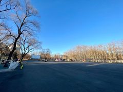 -枫花园汽车电影院(朝阳公园店)