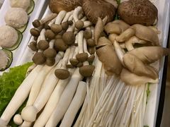 -百年果林椰子鸡(中洲店)