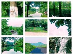 -西溪国家湿地公园