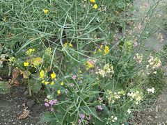 -中国天府农业博览园