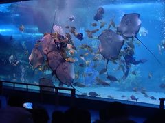 -泉城欧乐堡海洋极地世界