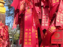 -西安大兴善寺