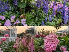 -深圳国际园林花卉博览园