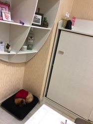 -柴小姐美睫美甲