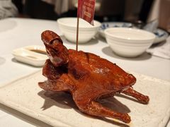 -侨美食家·41年地道粤菜(珠江新城店)