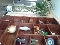 环境-DRG达人馆造型