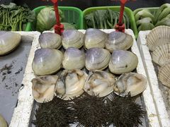 -蚝专家(北滘店)